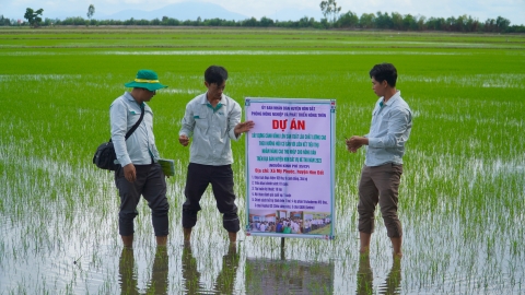 Khuyến nông cộng đồng hỗ trợ nông dân hợp tác làm giàu