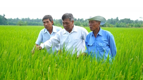 Giảm chi phí, tăng năng suất nhờ ứng dụng bản tin thời tiết nông vụ