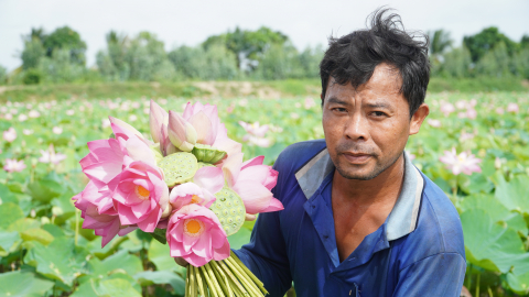 Đồng Tháp có hơn 42.000 nông dân chuyên nghiệp