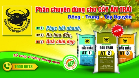 Để trồng bơ hiệu quả