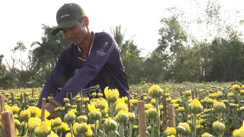 Trăm dâu đổ đầu... thương lái