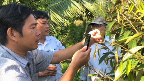 Cởi trói, bung ra phân bón hữu cơ, sản phẩm vi sinh