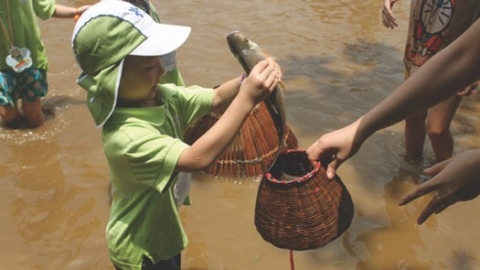 Đánh thức tiềm năng du lịch đồng quê