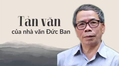 Tản văn Đức Ban: Hoa dong riềng