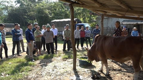 Kinh tế vùng cao xứ Lạng khởi sắc