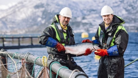 Na Uy sẵn sàng chia sẻ kinh nghiệm phát triển thương hiệu quốc gia thủy sản