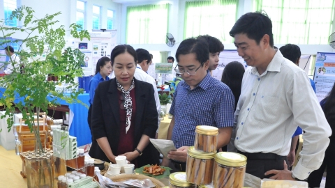 Kiên Giang: Hàng trăm đề tài, dự án khoa học ứng dụng cao trong nông nghiệp