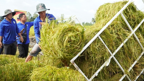 Đề án 1 triệu ha: Mục đích là giảm chi phí, giảm phát thải, tăng lợi nhuận