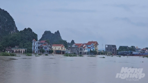 Ninh Bình phát lệnh di dân