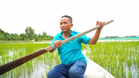 Băn khoăn làm lúa 3 vụ/năm: [Bài 3] Khôi phục hệ sinh thái tự nhiên cần đồng nhất