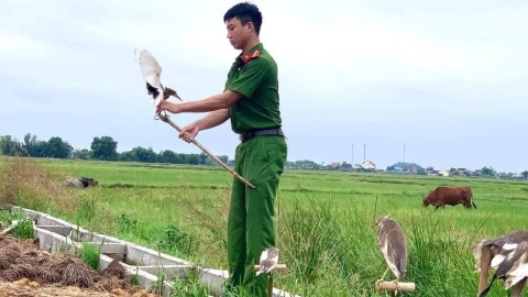 Hà Tĩnh yêu cầu kiểm tra, truy quét các địa bàn săn, bắt động vật hoang dã, chim di cư