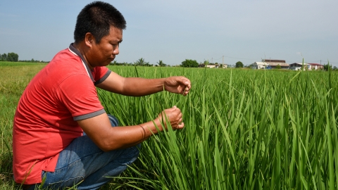 108 vị anh hùng vỡ đồng hoang đất Cảng: [Bài 2] Chủ tịch CLB 'Hùng đen'