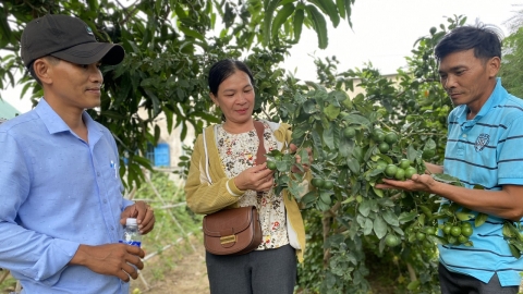 Tập huấn giải pháp kỹ thuật giảm thiệt hại do thiên tai