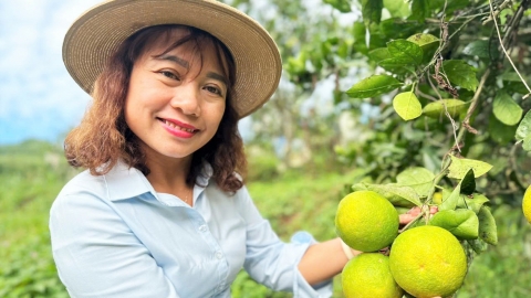 Nhân nuôi ‘vệ sỹ’ bảo vệ cây ăn quả đặc sản