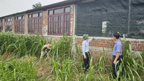 Trang trại tuần hoàn ứng phó biến đổi khí hậu: [Bài 2] Sáng tạo độc đáo