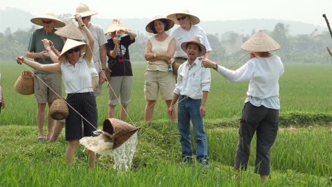 Còn nhiều lúng túng trong quản lý du lịch nông nghiệp