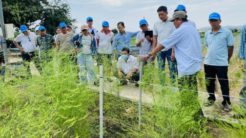 Hỗ trợ vật tư cho vùng măng tây lớn nhất Ninh Thuận