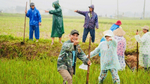 Quảng Nam ra quân diệt chuột trước vụ đông xuân