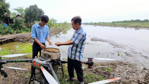 Vipesco hỗ trợ nông dân quản lý cỏ dại, ốc bươu vàng