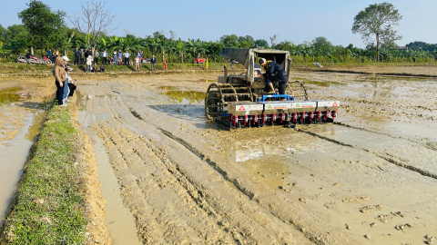 Sản xuất lúa theo hướng hữu cơ bằng phương pháp sạ cụm