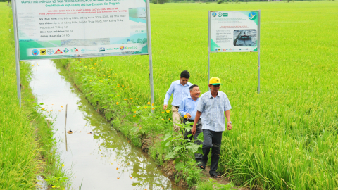 Đồng Tháp mở rộng thêm 50.000ha chuyên canh lúa chất lượng cao trong năm 2025