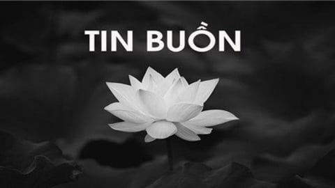 TIN BUỒN