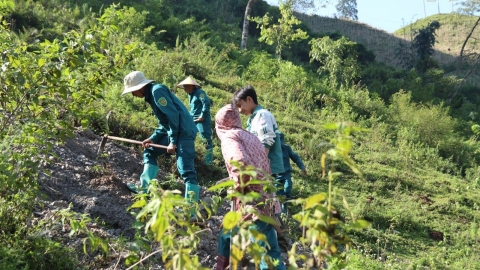 Sơn La lên kế hoạch bảo vệ rừng cuối năm