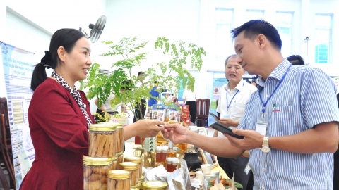 Kiên Giang: Gần 170 đề tài, dự án khoa học và công nghệ được nghiên cứu, nghiệm thu