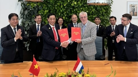Ninh Thuận ký kết bản ghi nhớ hợp tác nông nghiệp với Hà Lan