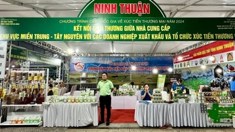 Ninh Thuận tham gia chuỗi sự kiện xúc tiến thương mại khu vực miền Trung