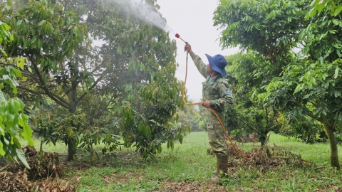 Gia Lai: Chú trọng nền nông nghiệp sạch với thuốc bảo vệ thực vật sinh học