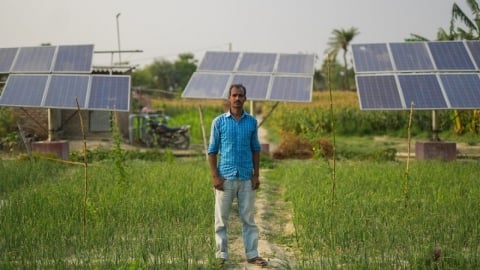 Ấn Độ chuyển đổi nông nghiệp xanh: [Bài cuối] Năng lượng mặt trời giúp gia tăng giá trị cây trồng