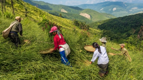 ASEAN nêu 7 'đòn bẩy' chuyển đổi nông nghiệp sinh thái