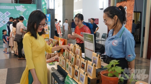 37 dự án tranh tài chung kết Dự án Khởi nghiệp Xanh lần 9