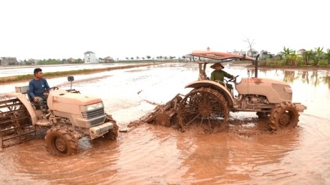 Nhà nông có đàn 'trâu sắt' trị giá hơn 3 tỉ đồng