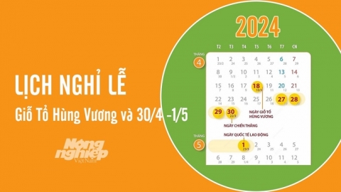 Lịch nghỉ lễ Giỗ Tổ Hùng Vương và dịp 30/4 - 1/5 năm 2024