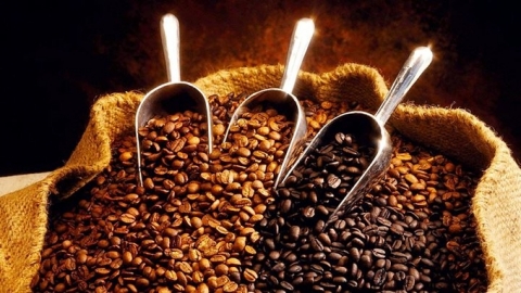 Giá cà phê hôm nay 23/6/2024: Trong nước tăng mạnh