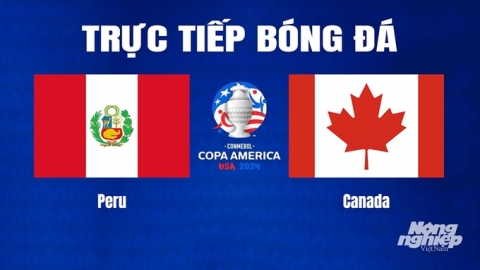 Trực tiếp Peru vs Canada tại Copa America trên K+ SPORT 1 hôm nay 26/6/2024