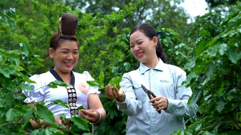 Lực lượng chính góp phần quan trọng tri thức hóa nông dân