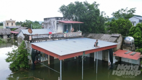 Nước đang nhấn chìm phố, cán bộ huyện vẫn chờ ký báo cáo mới thông tin