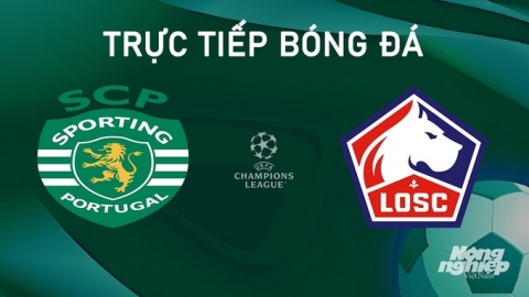 Trực tiếp Sporting Lisbon vs Lille giải Cúp C1 Châu Âu trên TV360 ngày 18/9