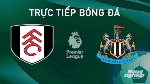 Nhận định, trực tiếp Fulham vs Newcastle United giải Ngoại hạng Anh hôm nay 21/9/2024