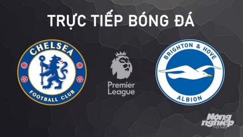 Nhận định, trực tiếp Chelsea vs Brighton giải Ngoại hạng Anh hôm nay 28/9/2024