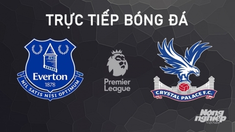 Nhận định, trực tiếp Everton vs Crystal Palace giải Ngoại hạng Anh hôm nay 28/9/2024