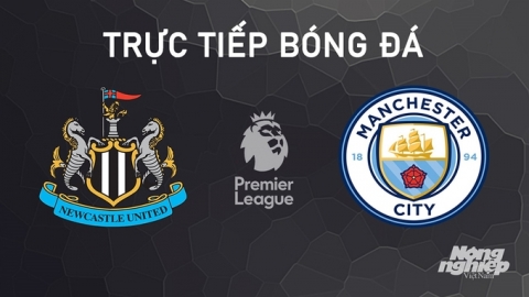 Nhận định, trực tiếp Newcastle United vs Man City giải Ngoại hạng Anh hôm nay 28/9/2024