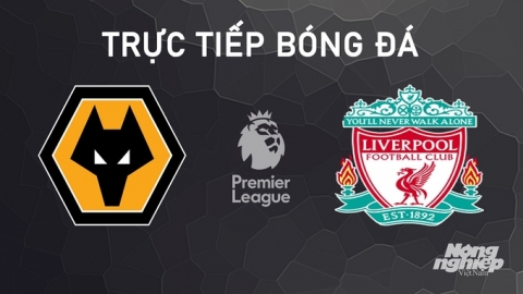 Nhận định, trực tiếp Wolves vs Liverpool giải Ngoại hạng Anh hôm nay 28/9/2024