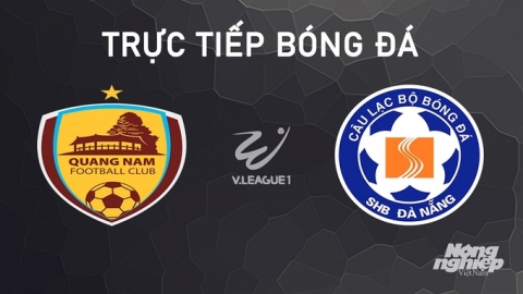 Trực tiếp Quảng Nam vs Đà Nẵng giải V-League 2024/25 trên TV360 hôm nay 29/9