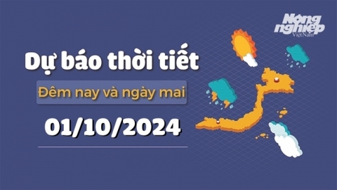 Dự báo thời tiết ngày mai 1/10/2024: Tin gió mùa Đông bắc mới nhất