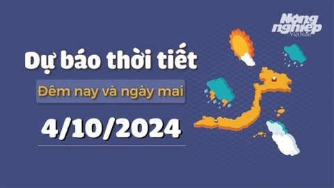 Dự báo thời tiết ngày mai 4/10/2024 mới nhất