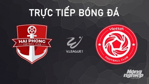 Trực tiếp Hải Phòng vs Viettel giải V-League 2024/25 hôm nay 4/10